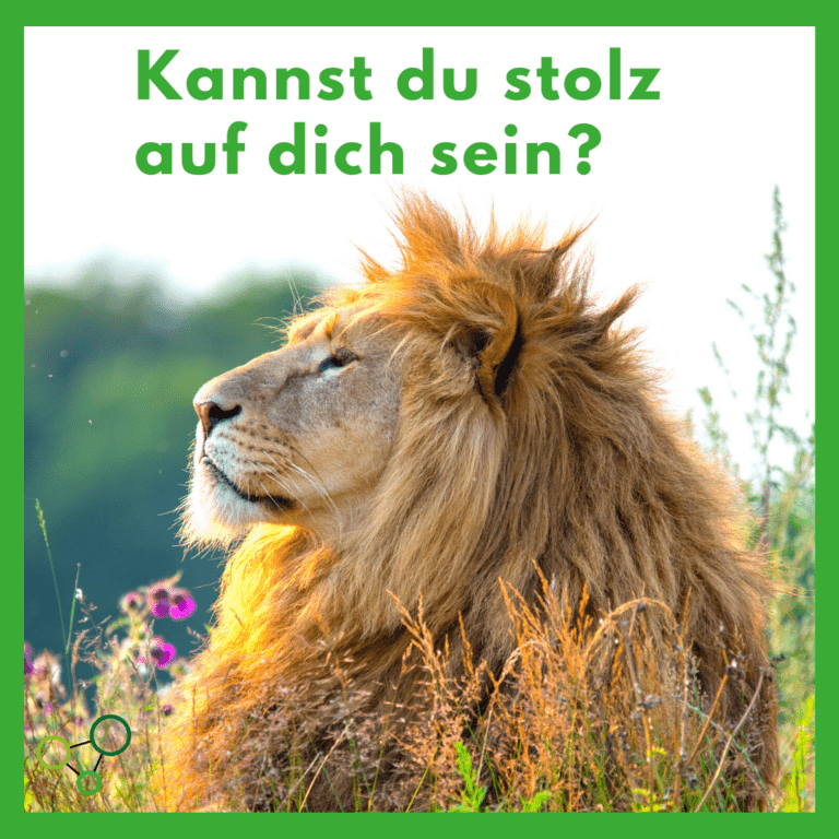 Kannst du stolz auf dich sein? • Work & Family Coach Mario Sudmann